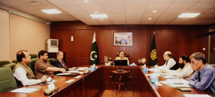 PNSC to secure $700 million in freight earnings through fleet expansion: Junaid Anwar Chaudhry unveils strategic business plan