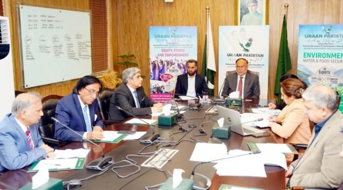 Ahsan Iqbal calls for unified approach to prevent Diabetes