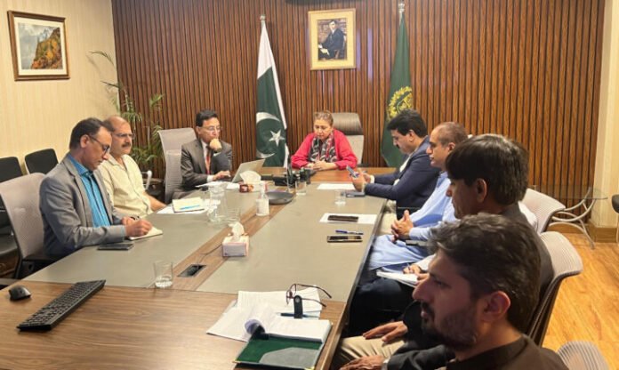 High-Level consultative meeting held to discuss efforts paced electric vehicle transition in Pakistan