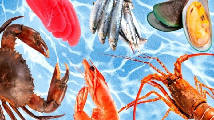 China, Thailand lead Pakistan’s seafood imports as export value surges 20.5% to $489.2 million, says Junaid Anwar Chaudhry