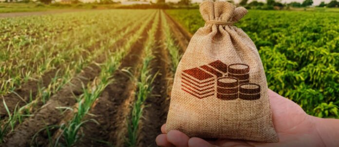 Govt to launch easy loan scheme for small farmers, PM Shehbaz announces major agri reforms